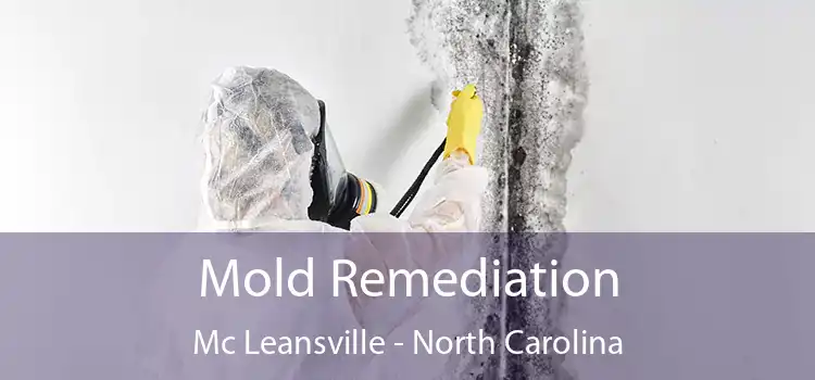 Mold Remediation Mc Leansville - North Carolina