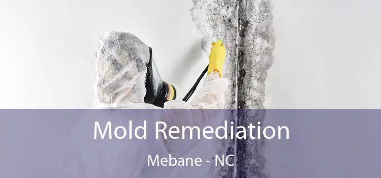 Mold Remediation Mebane - NC