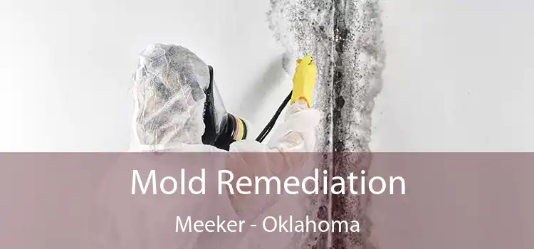 Mold Remediation Meeker - Oklahoma