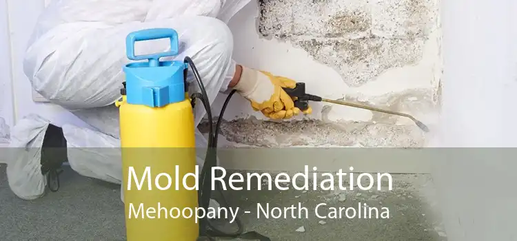 Mold Remediation Mehoopany - North Carolina