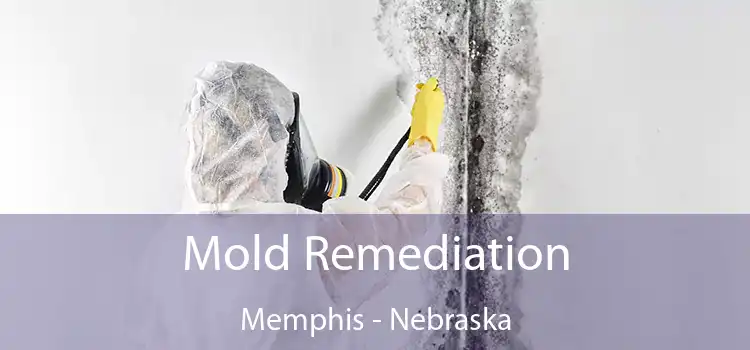 Mold Remediation Memphis - Nebraska