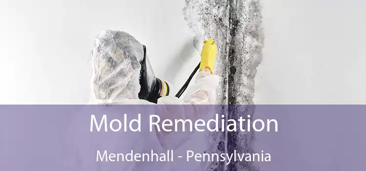 Mold Remediation Mendenhall - Pennsylvania