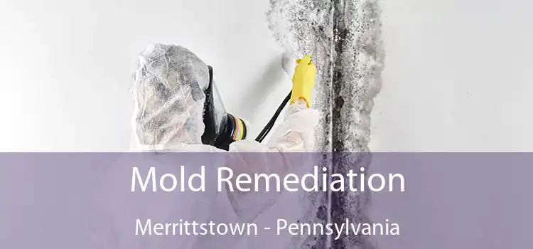 Mold Remediation Merrittstown - Pennsylvania