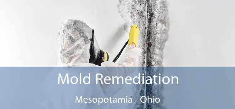 Mold Remediation Mesopotamia - Ohio