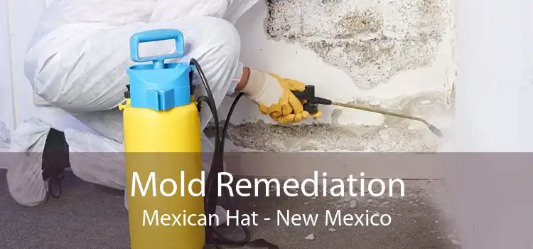 Mold Remediation Mexican Hat - New Mexico