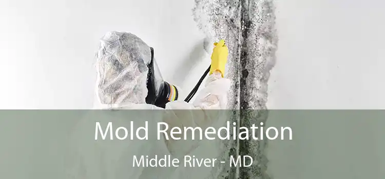 Mold Remediation Middle River - MD