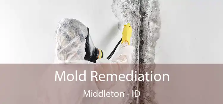 Mold Remediation Middleton - ID