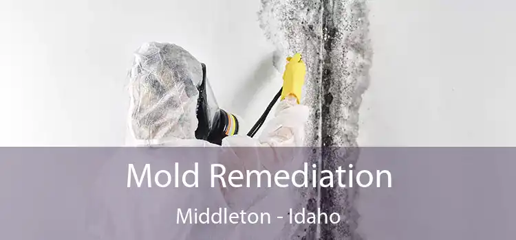 Mold Remediation Middleton - Idaho