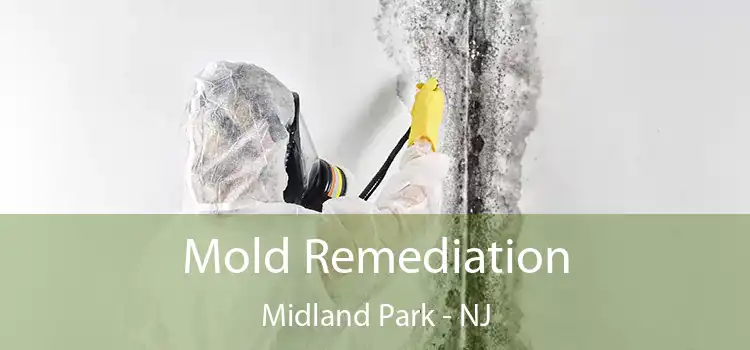 Mold Remediation Midland Park - NJ