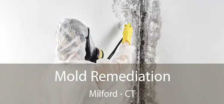 Mold Remediation Milford - CT