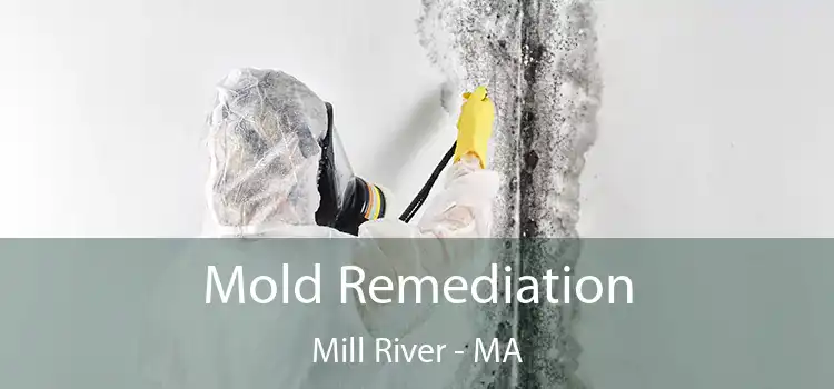 Mold Remediation Mill River - MA