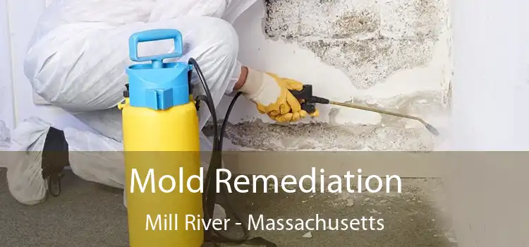 Mold Remediation Mill River - Massachusetts