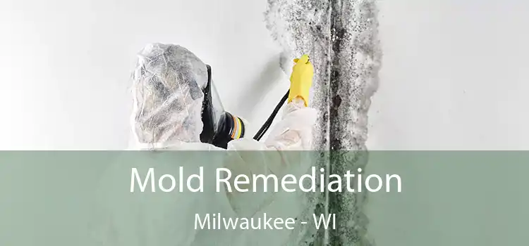 Mold Remediation Milwaukee - WI