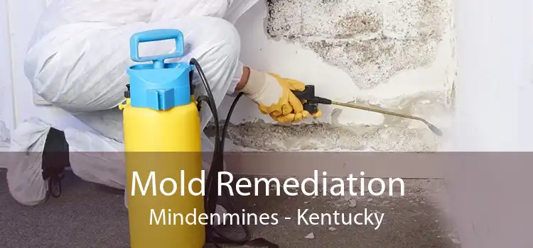 Mold Remediation Mindenmines - Kentucky