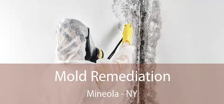 Mold Remediation Mineola - NY