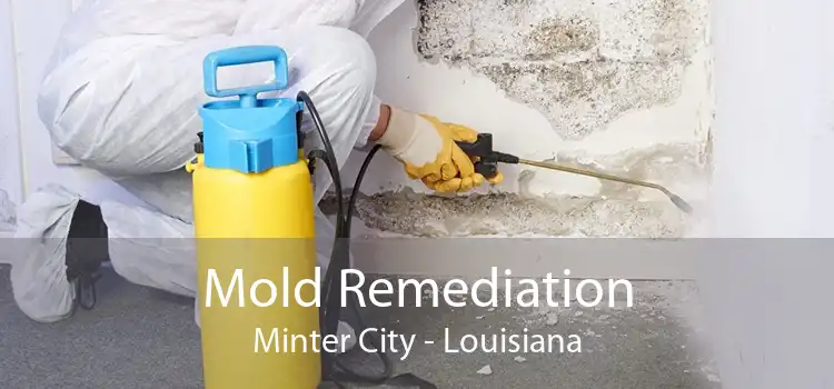 Mold Remediation Minter City - Louisiana