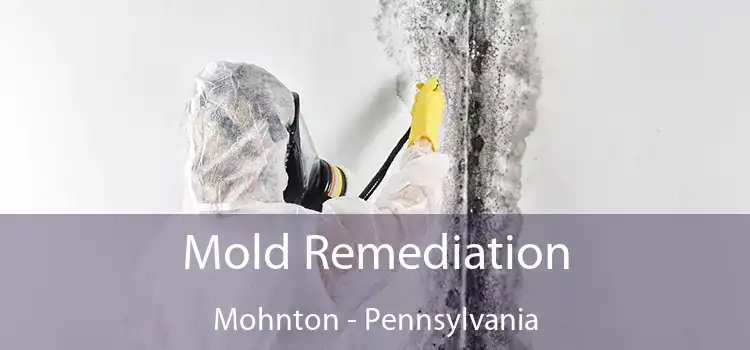 Mold Remediation Mohnton - Pennsylvania