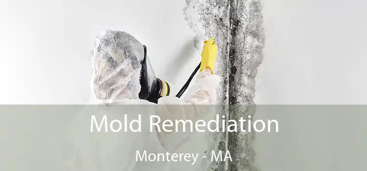 Mold Remediation Monterey - MA