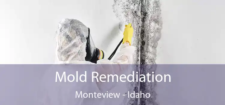 Mold Remediation Monteview - Idaho