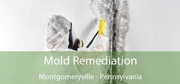 Mold Remediation Montgomeryville - Pennsylvania