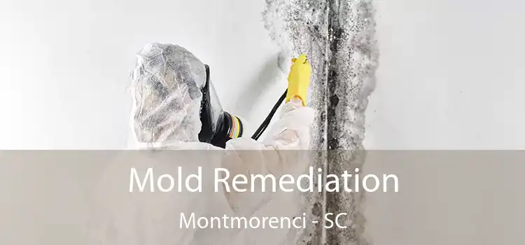 Mold Remediation Montmorenci - SC