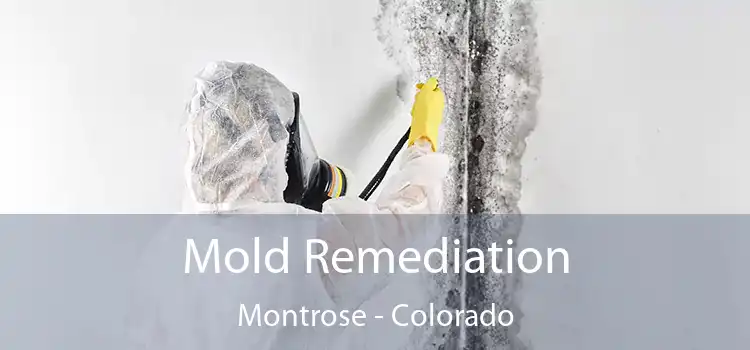 Mold Remediation Montrose - Colorado