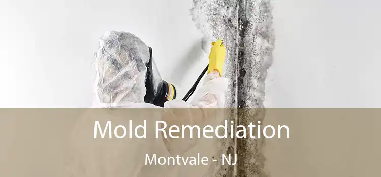 Mold Remediation Montvale - NJ