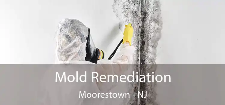 Mold Remediation Moorestown - NJ