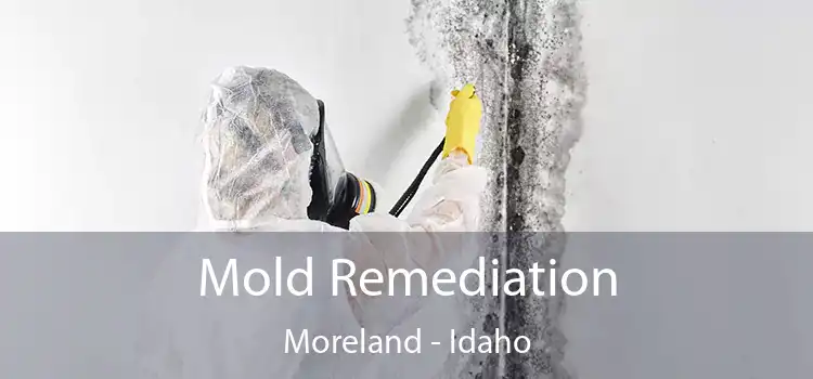 Mold Remediation Moreland - Idaho