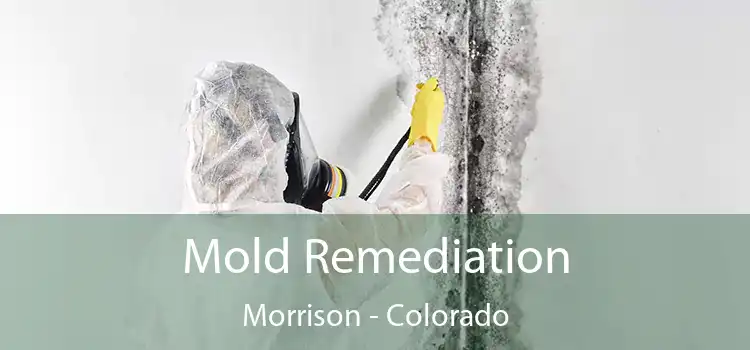 Mold Remediation Morrison - Colorado