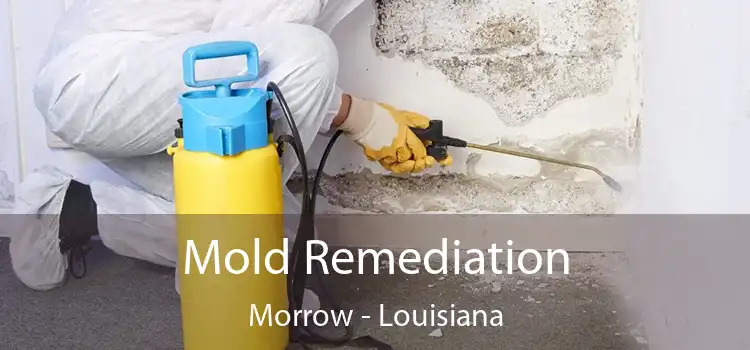 Mold Remediation Morrow - Louisiana