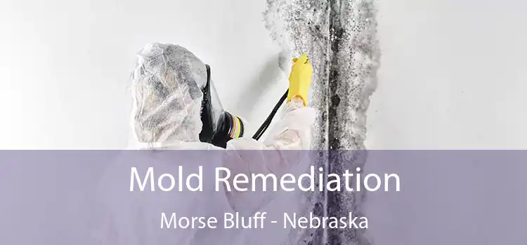 Mold Remediation Morse Bluff - Nebraska