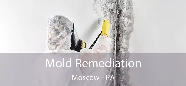 Mold Remediation Moscow - PA