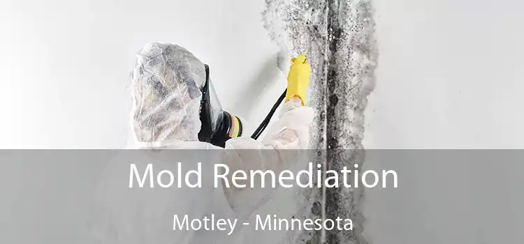 Mold Remediation Motley - Minnesota