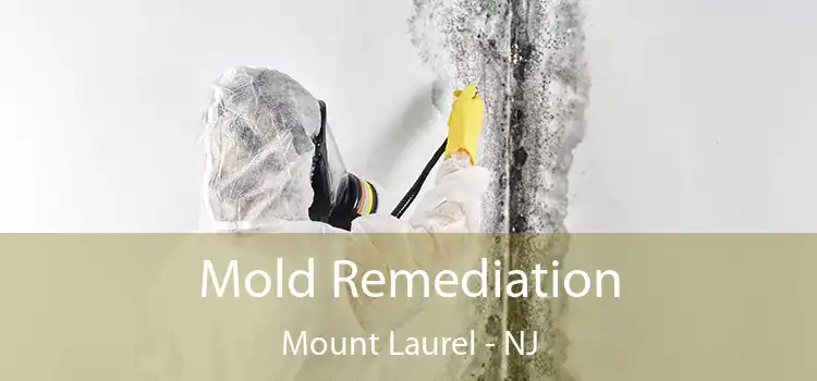 Mold Remediation Mount Laurel - NJ