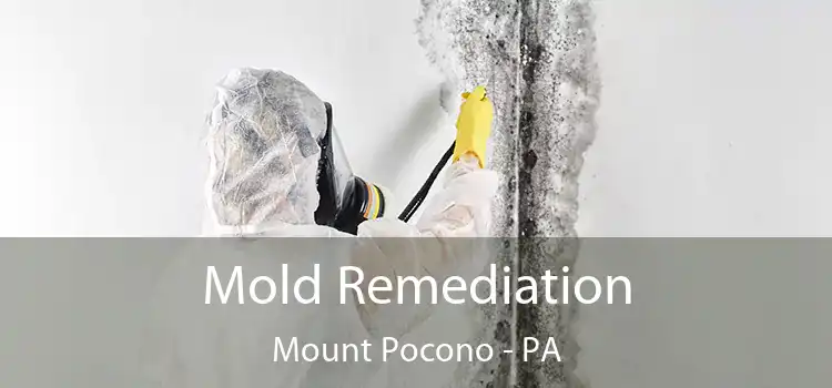 Mold Remediation Mount Pocono - PA