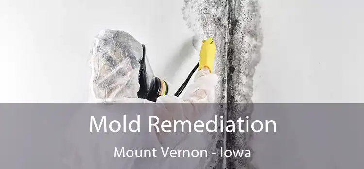 Mold Remediation Mount Vernon - Iowa