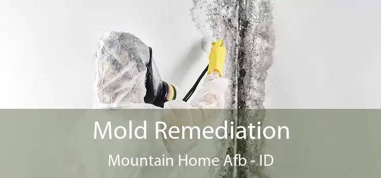 Mold Remediation Mountain Home Afb - ID