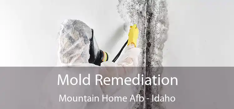 Mold Remediation Mountain Home Afb - Idaho