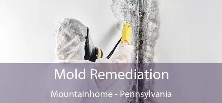 Mold Remediation Mountainhome - Pennsylvania