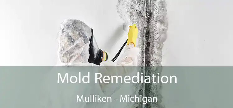 Mold Remediation Mulliken - Michigan