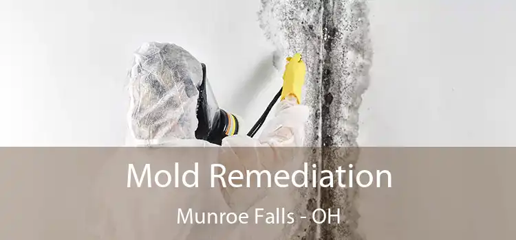 Mold Remediation Munroe Falls - OH