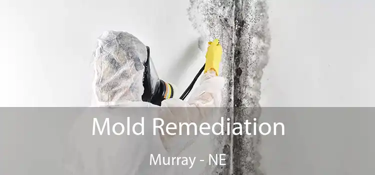 Mold Remediation Murray - NE