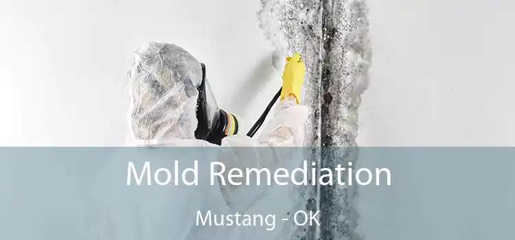 Mold Remediation Mustang - OK