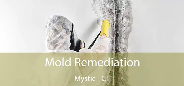 Mold Remediation Mystic - CT