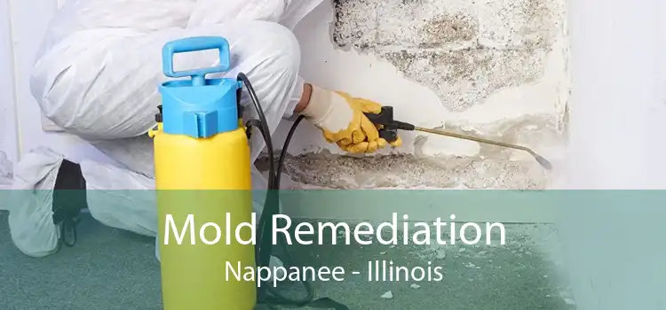 Mold Remediation Nappanee - Illinois