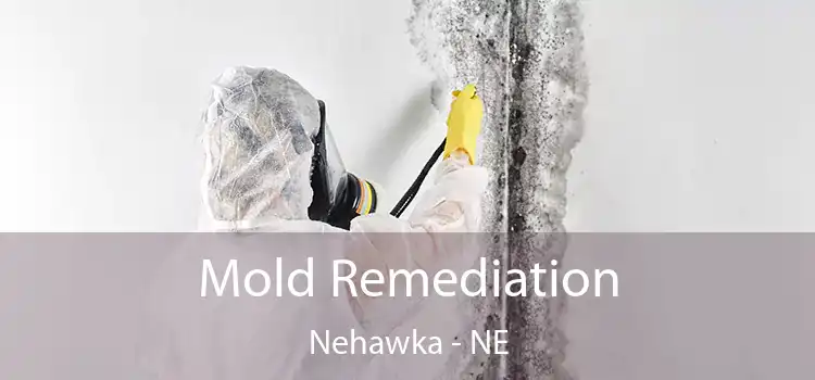 Mold Remediation Nehawka - NE