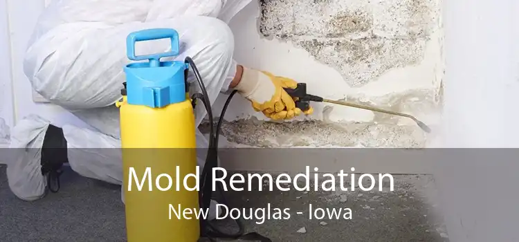 Mold Remediation New Douglas - Iowa