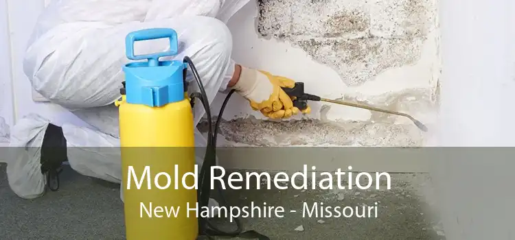 Mold Remediation New Hampshire - Missouri