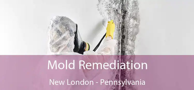 Mold Remediation New London - Pennsylvania